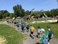 IMG_7661