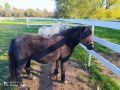 244429122_390149382644633_530859861840492100_n