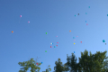 224-DSC_7318