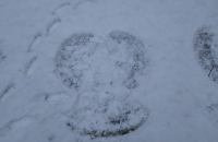 IMG-20210120-WA0003