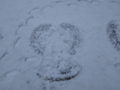 IMG-20210120-WA0003