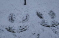 IMG-20210120-WA0005