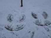 IMG-20210120-WA0005