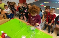 IMG_20210112_090523