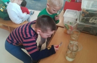 IMG_20210113_084905