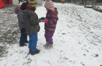 IMG_20210113_102339