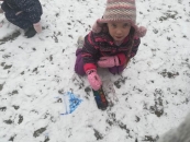 IMG_20210113_103517